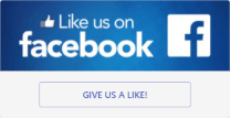Custom Widget - Like Us On Facebook
